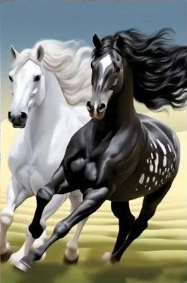 Black and White horses running