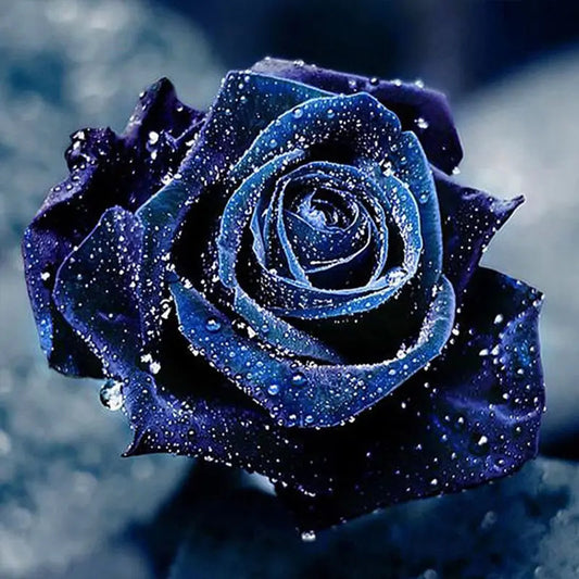 Blue Rose