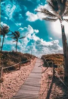 Sidewalk and palm trees