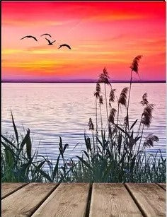 Colourful pier scenery