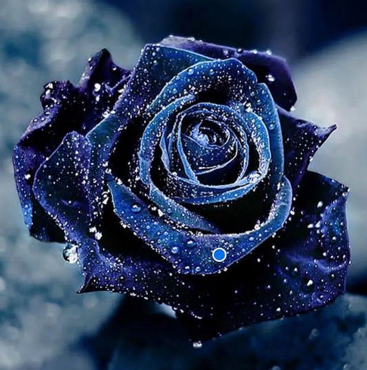 SMALL Blue Rose