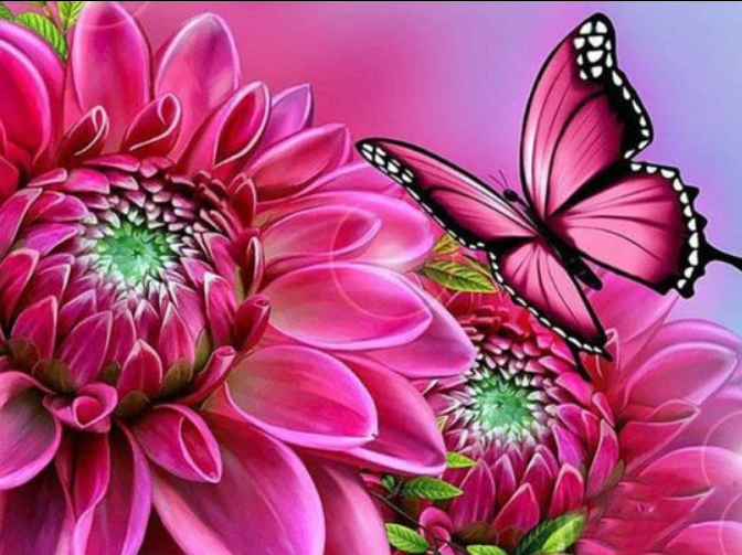 Pink butterfly on flower