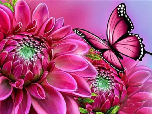 Pink butterfly on flower