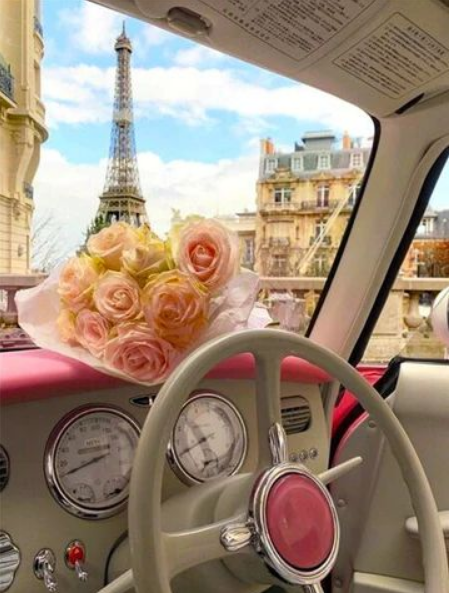 Eiffel tower steering wheel