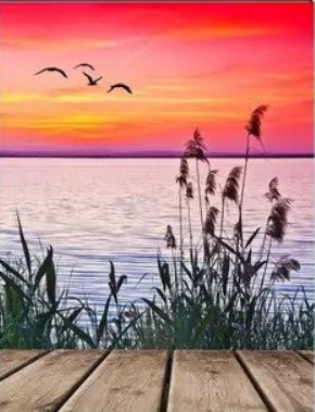 Colourful pier scenery