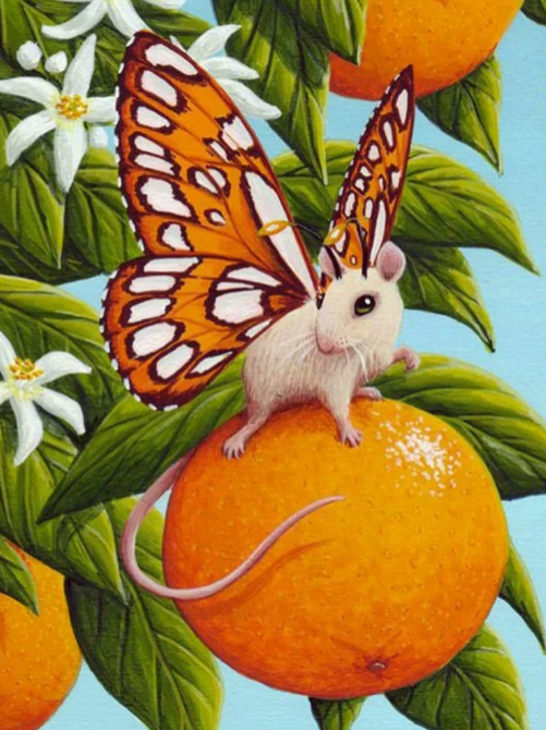 Butterfly mouse on orange