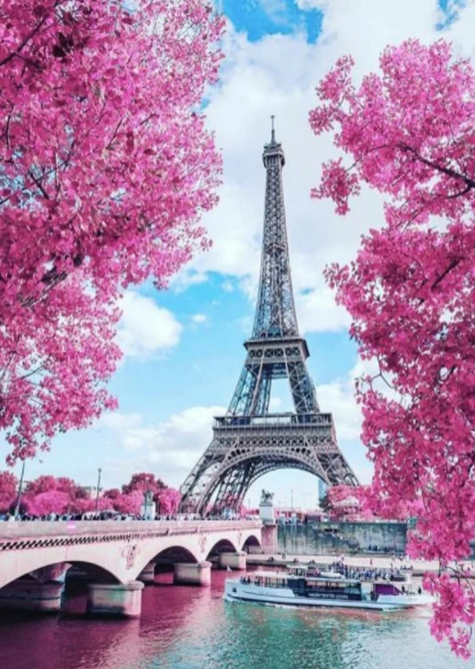 Pink trees and Eiffel tower