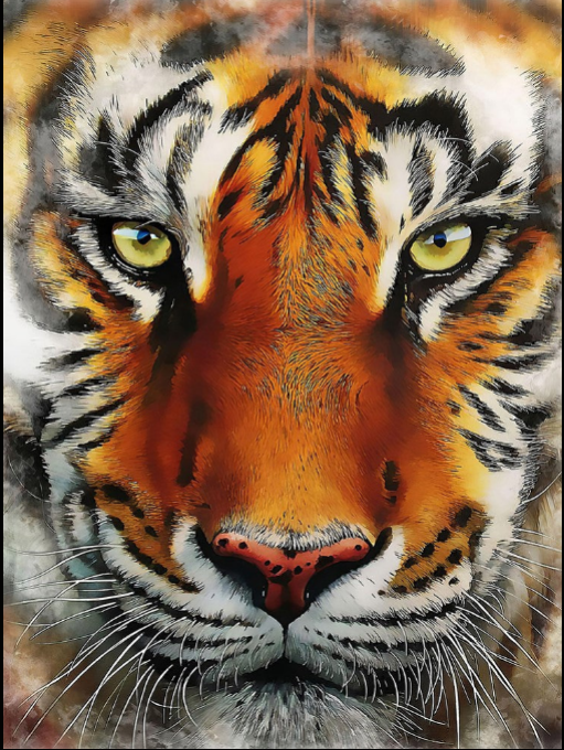 Tiger face Portrait