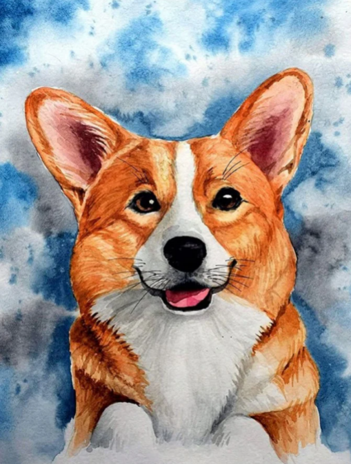 Corgi dog