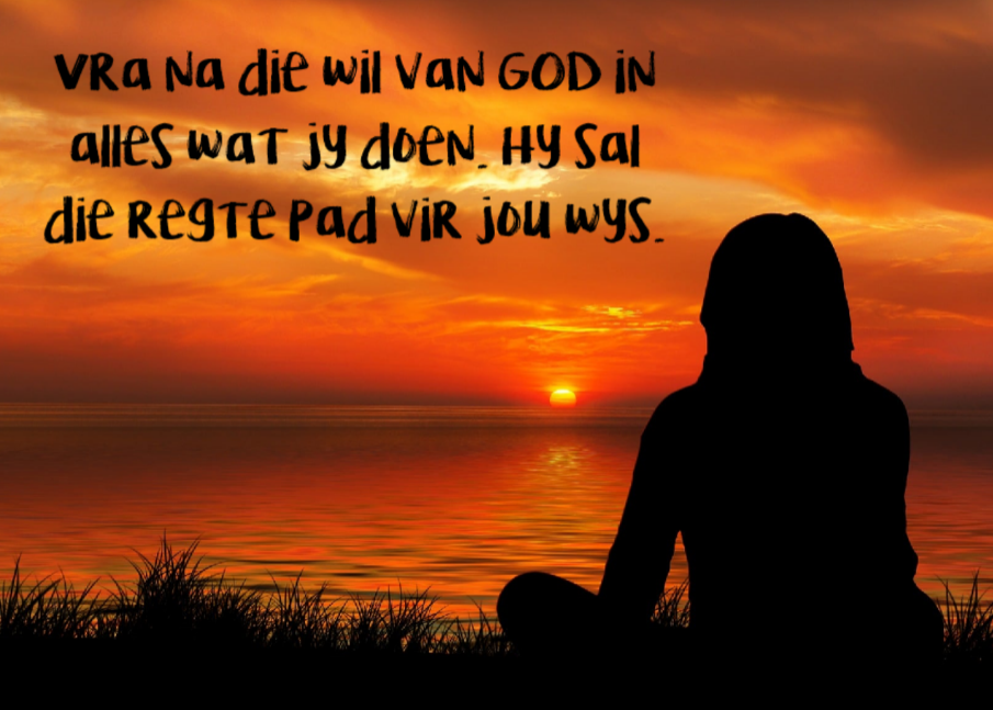 Vra Na Die Wil Van God 40x50cm