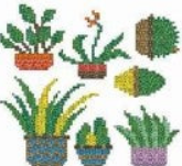 STICKERS - Cactus