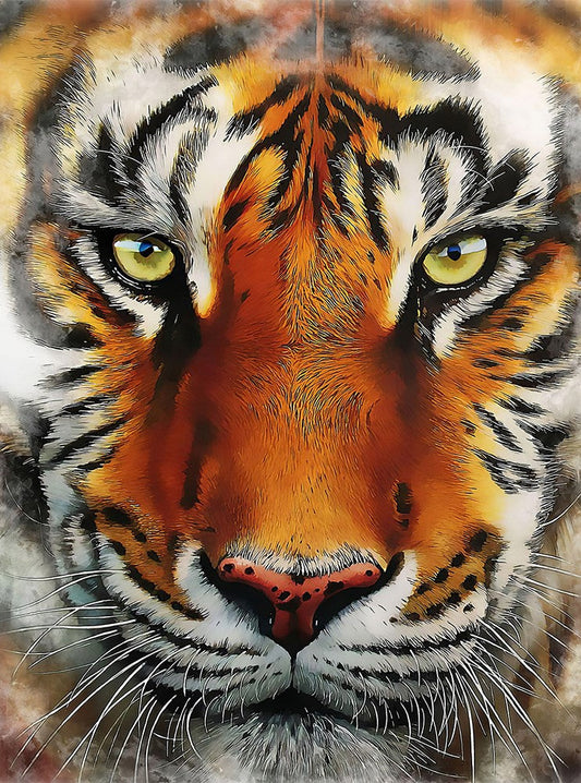 Tiger face Portrait