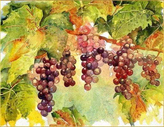 Grapes