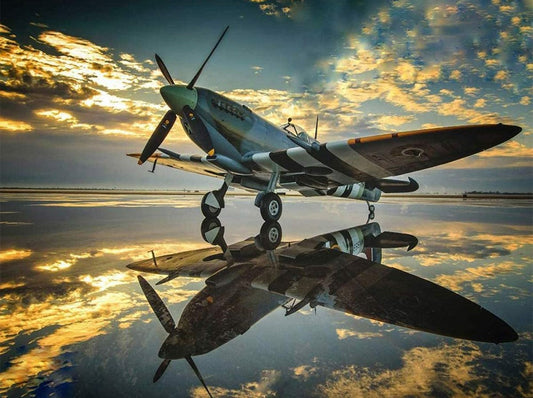 Airplane with reflection